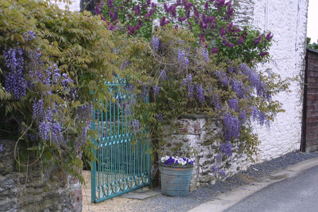La Vie En Rose Hotel Gouvy Exterior foto